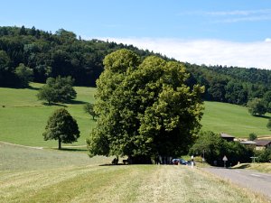 Rekognoszierungstour